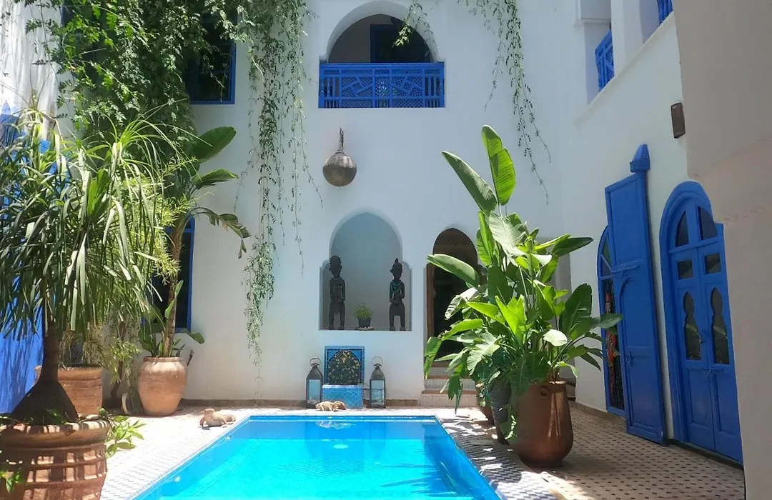 Riad Chameleon-1
